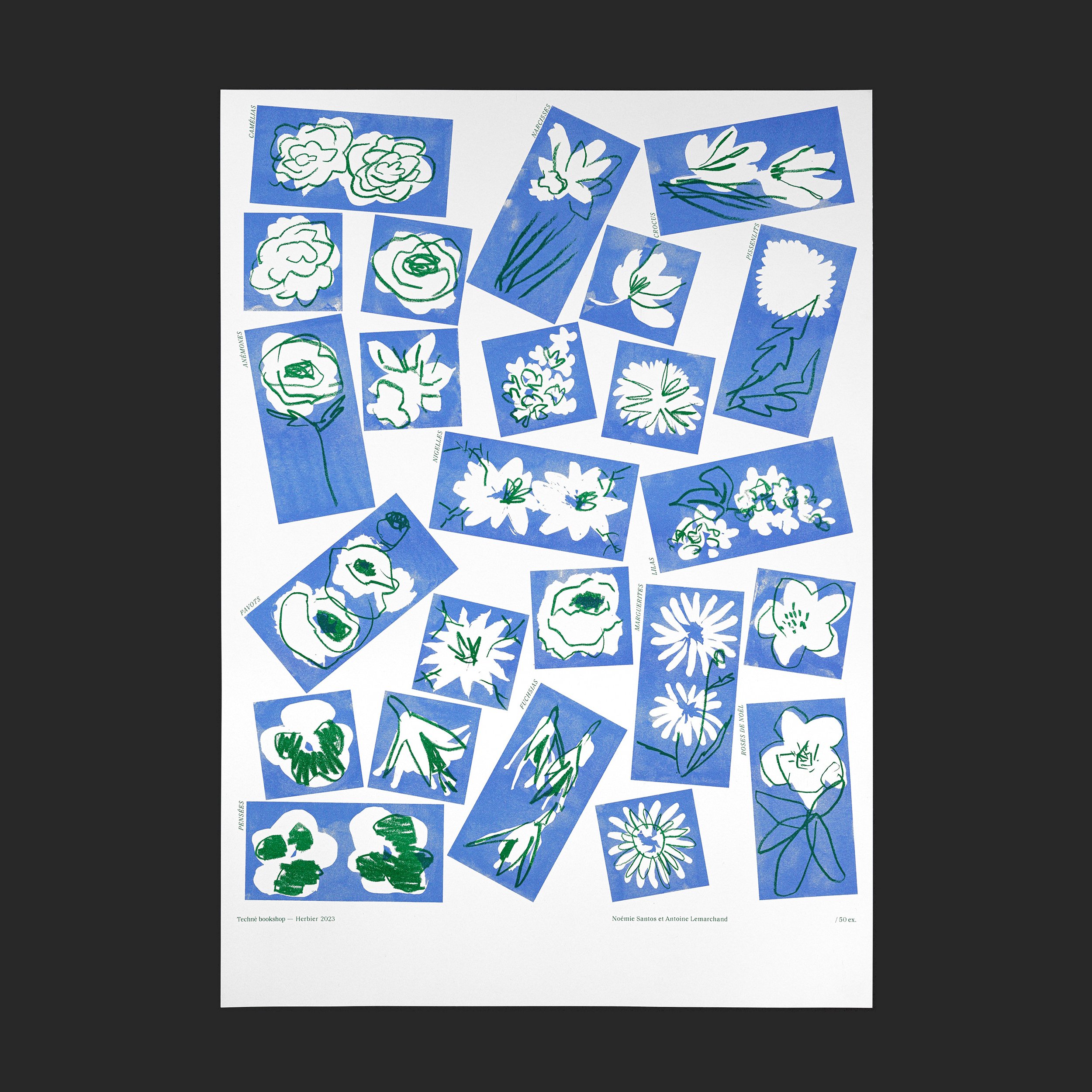 Vue du poster présentant l'ensemble des fleurs de l'herbier