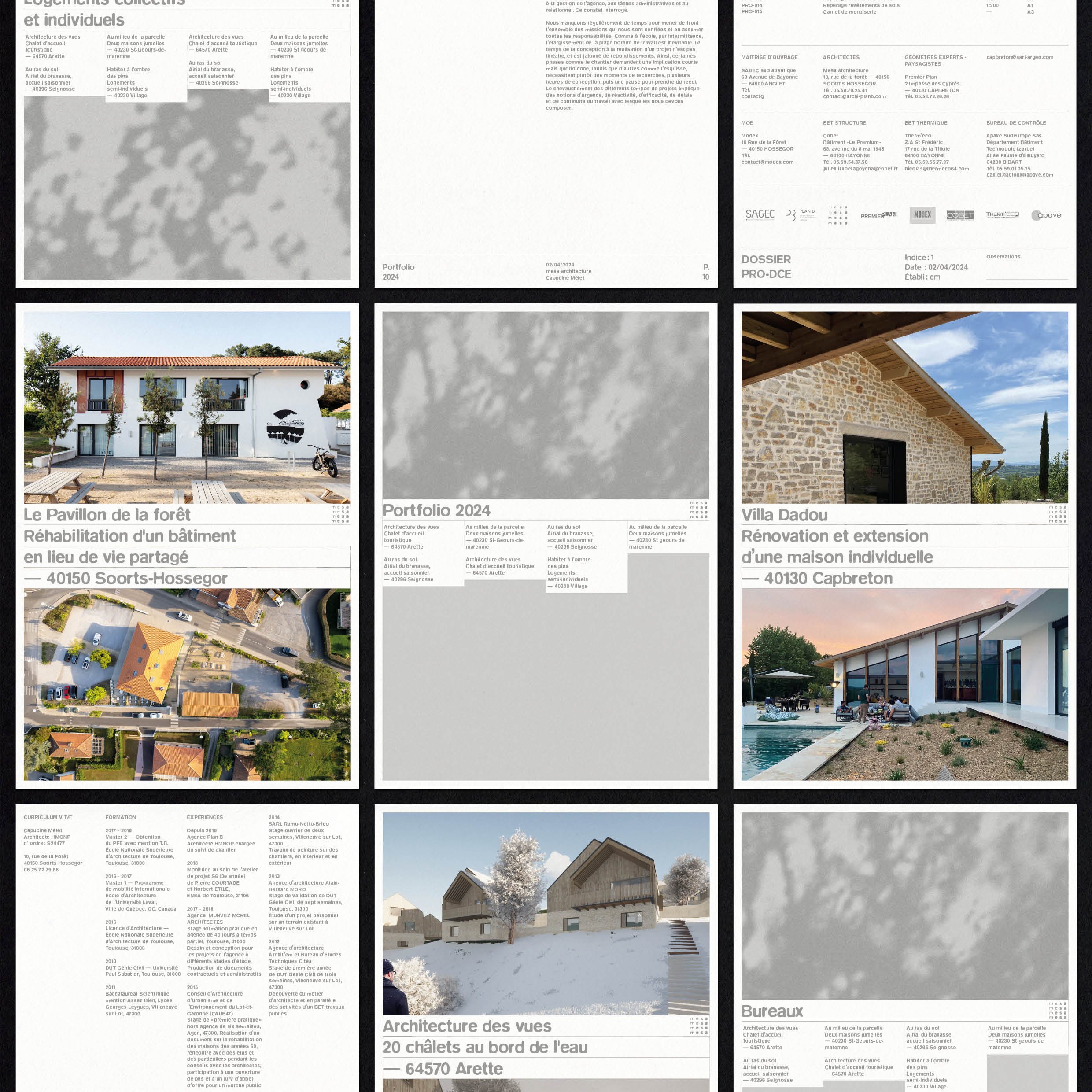 aperçu des pages types de l'identité visuelle
